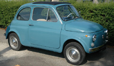 Fiat 500 1 Vet
